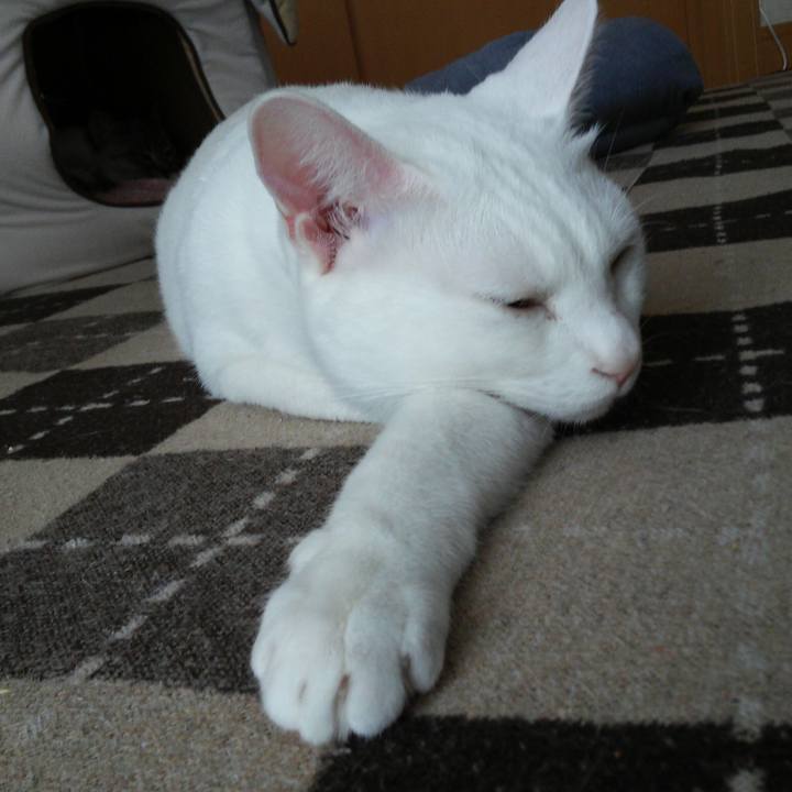 1e5db8c4 76c4 4e84 b448 49042871e8fa 1513489198897