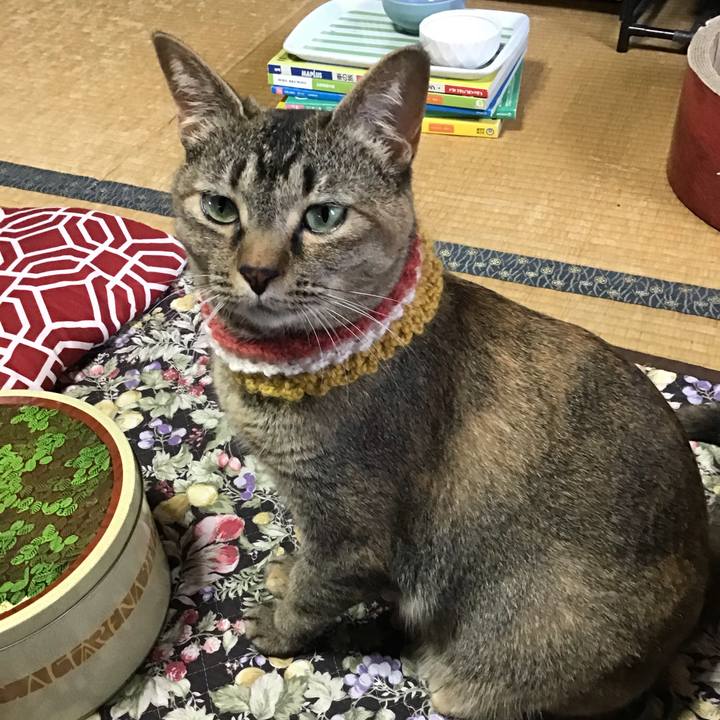 1e5df2ea 73cf 48a6 90d0 67058e1b80a8 1623570561621