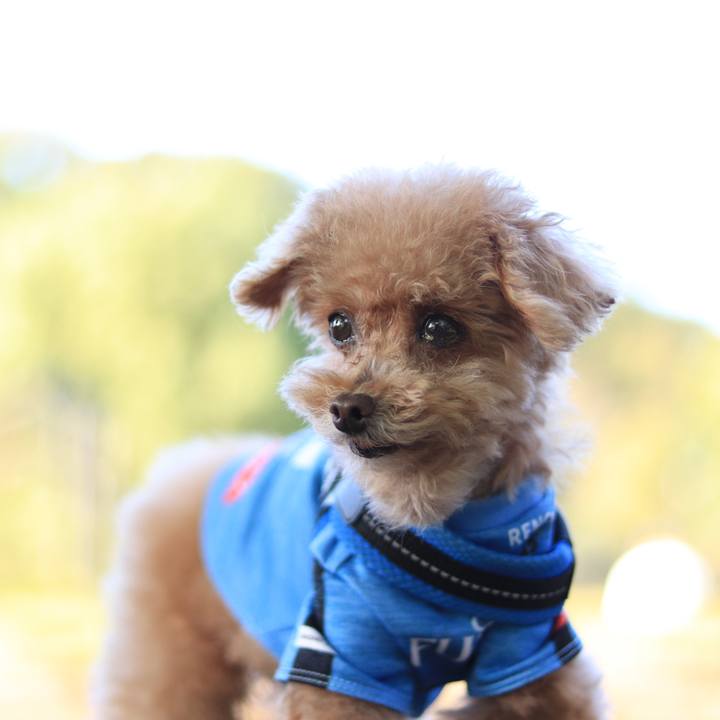 1e5e01f8 1941 43b5 ad23 5b90f92cde04 1635082159877