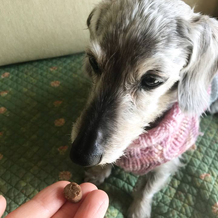 1e5e0d9e f0a2 4be7 8b12 c89bc8ec0e7f 1519863206291