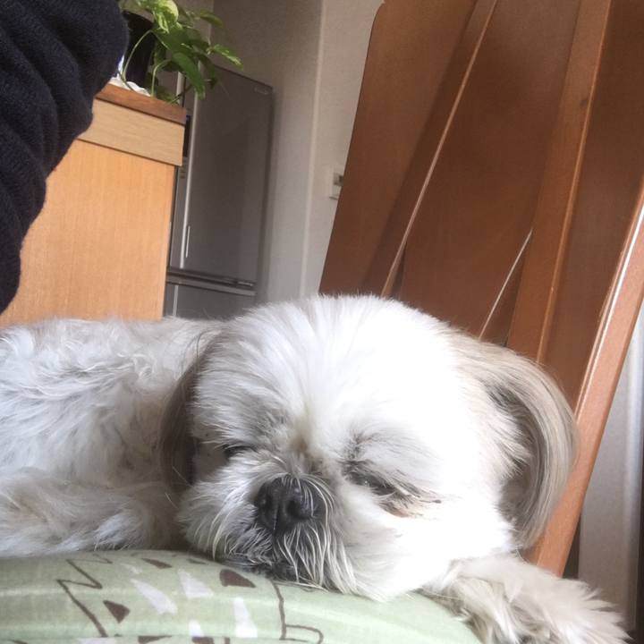 1e5e11c5 49f5 42dc a822 97da52222aad 1552307195633