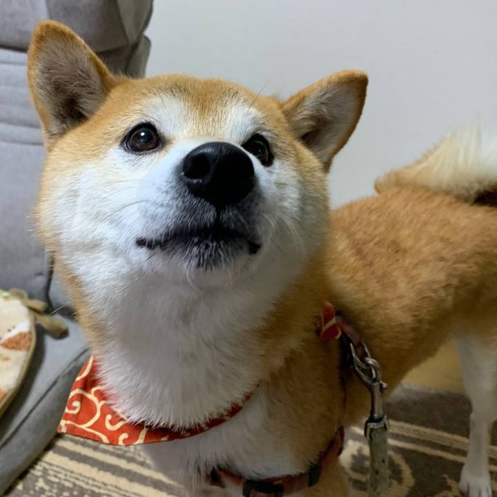 1e5e6652 19d1 4f84 9d4d c4b358ad1449 1574428175711