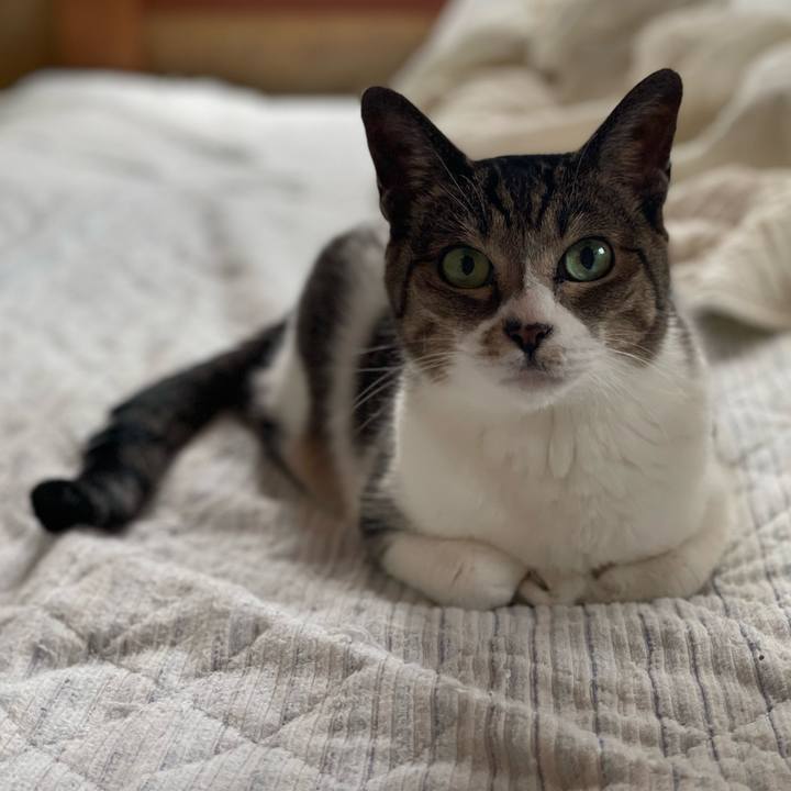 1e5e9423 5920 482d b167 846b4be1a6e2 1655861560226