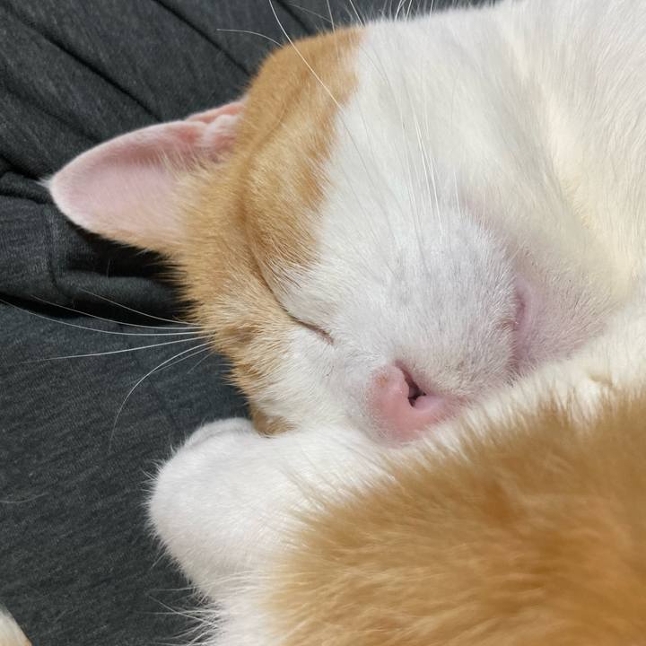 1e5ef0c9 491b 442d 8fdd 2bc9809f4738 1770906320257