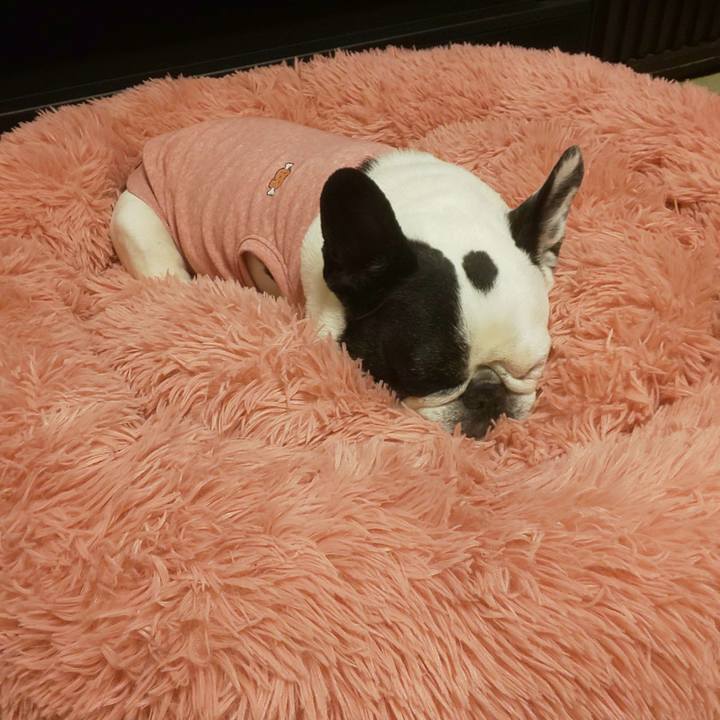 1e5ef466 14a7 4c5b 9c02 3a44dd4f1d10 1683470870700