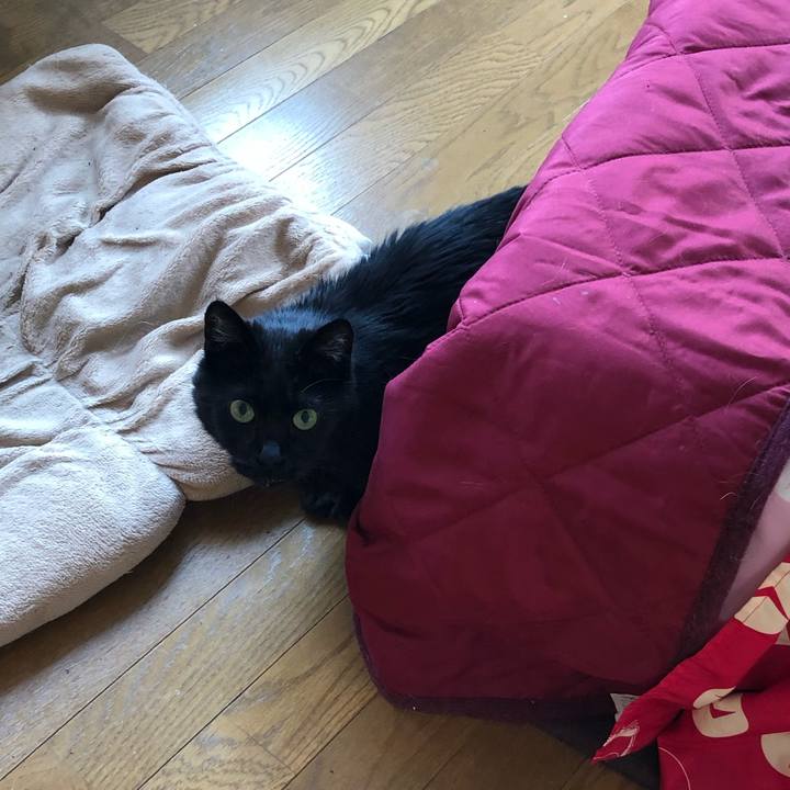 1e5f1498 317c 47f8 9aa4 9449b978edb9 1623015396487