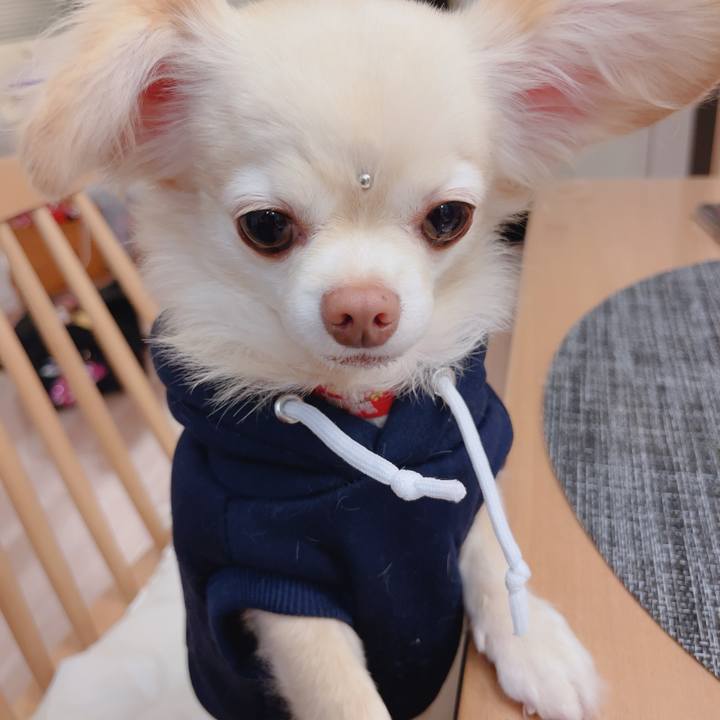 1e5fb0c2 e38b 41fd a19b 92b17b089142 1761648177066