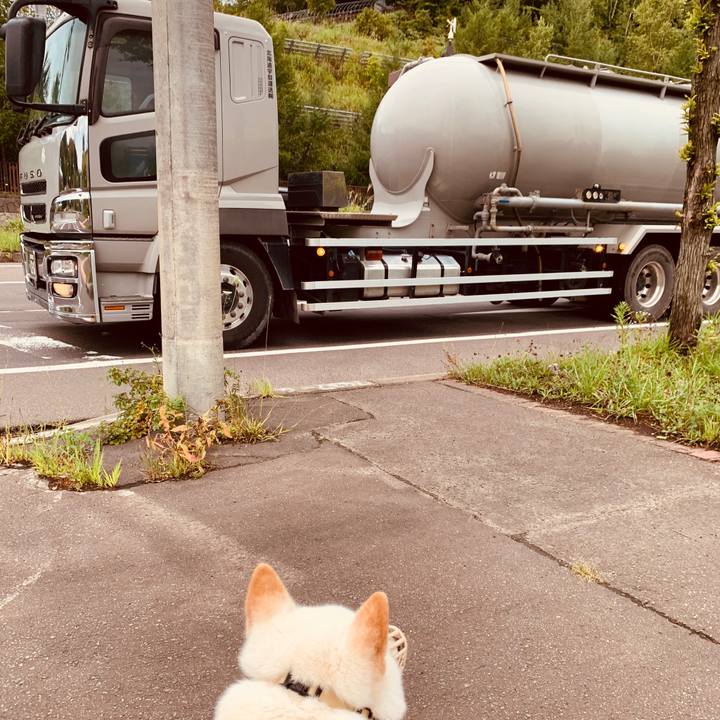 1e5fd1f0 67f8 4992 90bf a294b2d89693 1598911326413