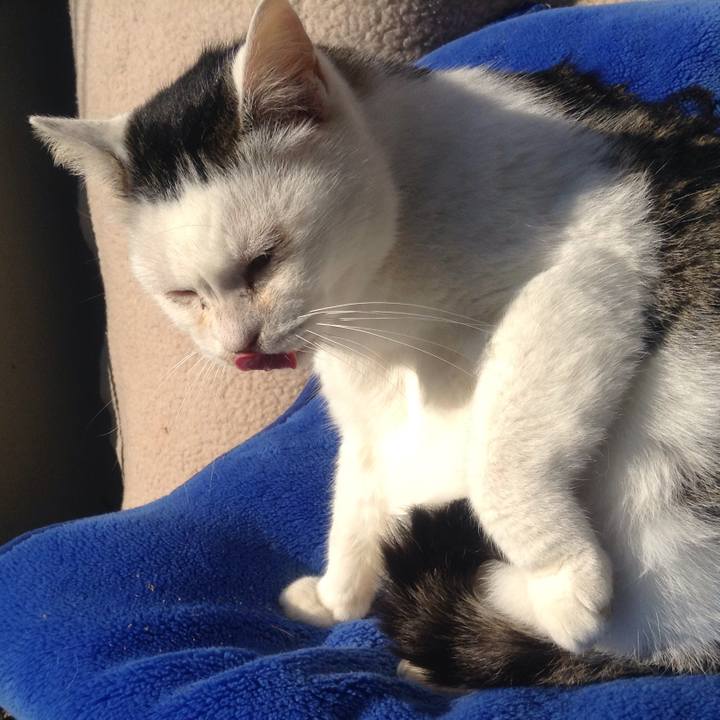 1e603388 2148 4e62 aca8 5b36fa44c3cb 1548507831591