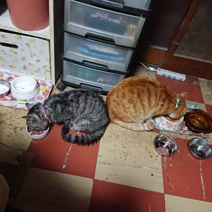 1e60353d 3d3e 49ed 8848 8a64600a7096 1582920794799