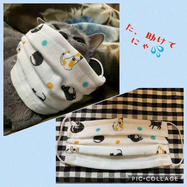 1e6065b8 8a2d 4745 8cc2 6afd36c1745c 1583304767974