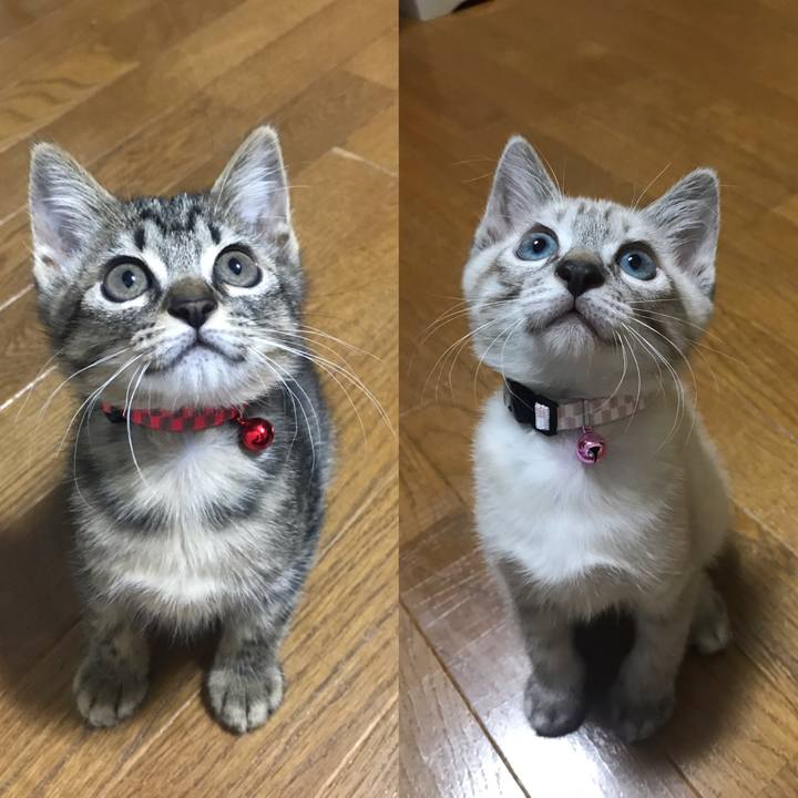 1e606c55 b8fe 4cc2 a2a2 486ada263b69 1559373348998