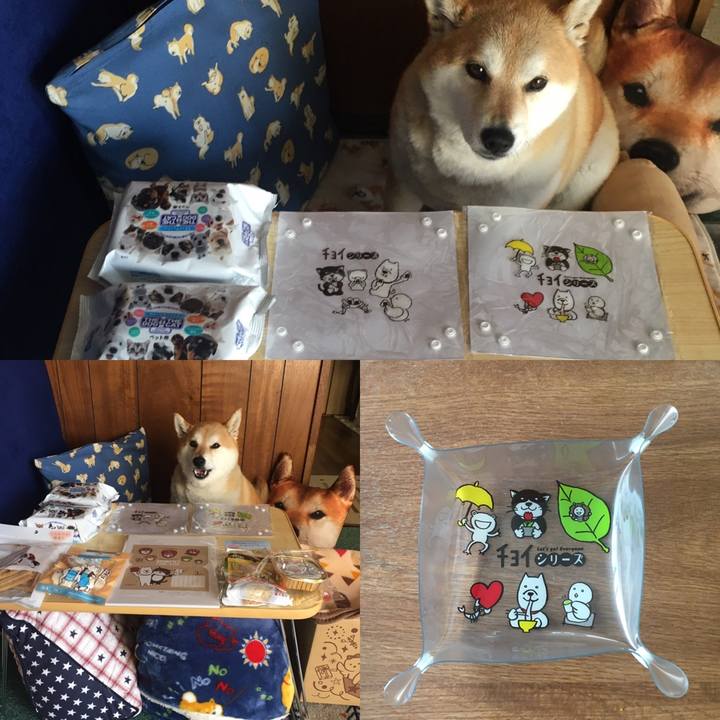 1e606dc0 ab6e 4e55 b2fc 0b5a05df1cc2 1619236492848