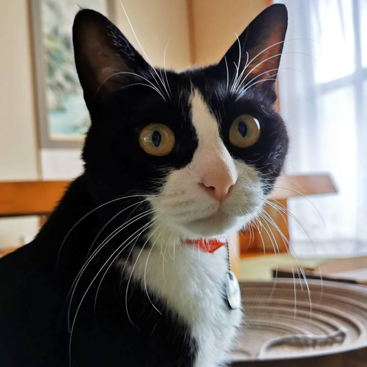 1e60bdb9 8c43 4b81 a23e ea20998f2129 1658459725239