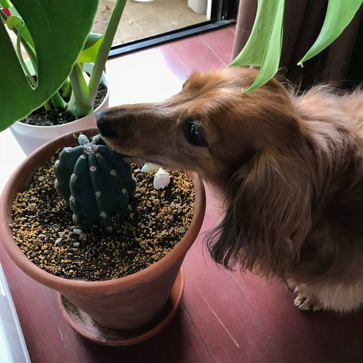 1e60c840 0222 4dc6 b156 acc365fc257e 1524977465423