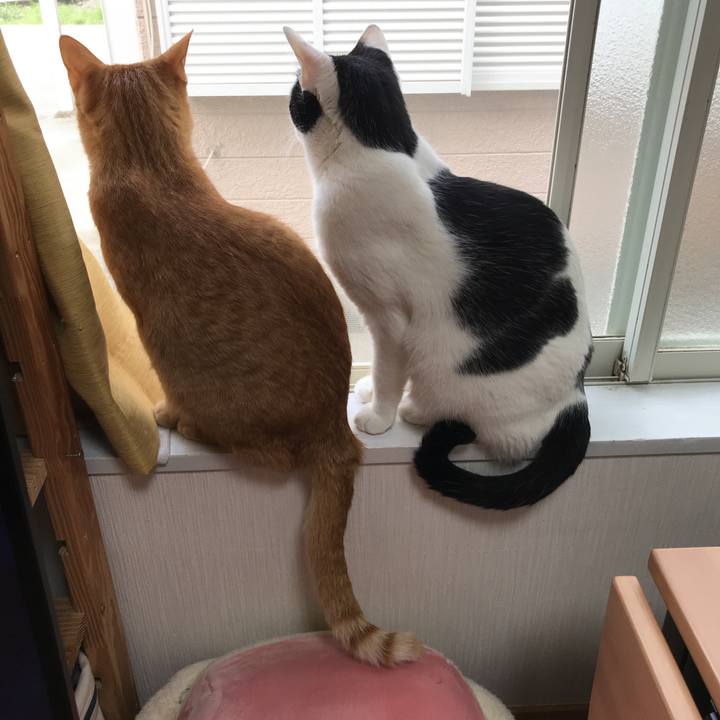 1e6143b9 6c1e 4ec4 8098 6cb4f29f759b 1524695889075