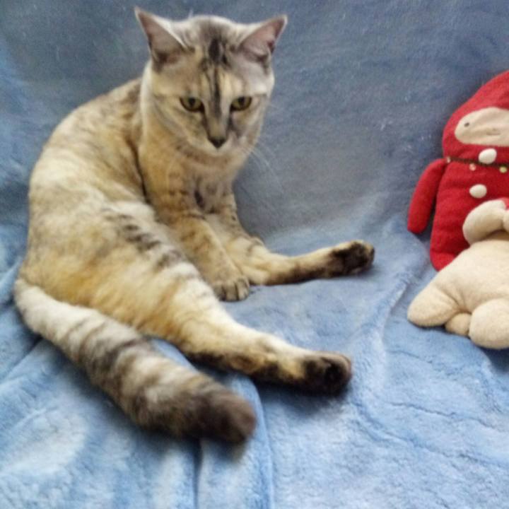 1e616a4c 64db 4250 b894 2a69baaa1915 1527064824081