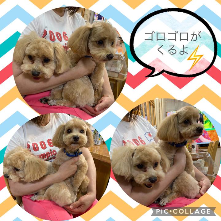 1e618e71 2812 420b bbe1 ff3ad238099e 1625922058528