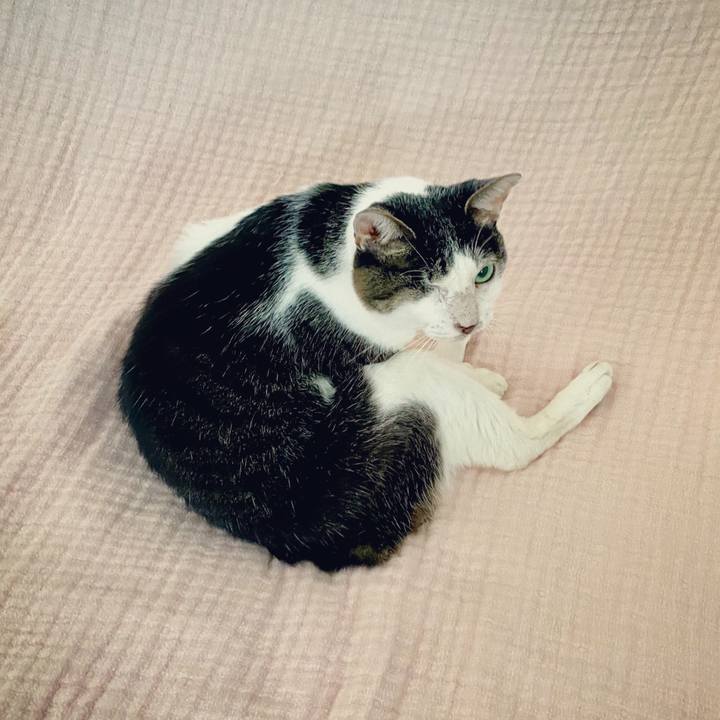 1e619749 2b3b 4046 b628 a113554cccc3 1598915790167