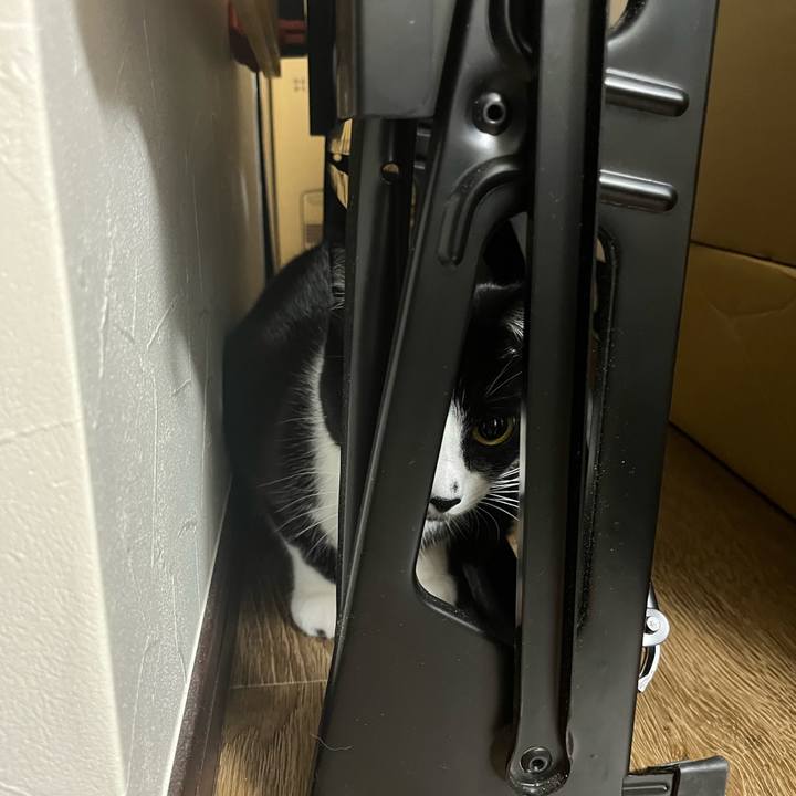 1e61a345 c03f 4daa a0b2 eae7e1fca8c2 1700177420121