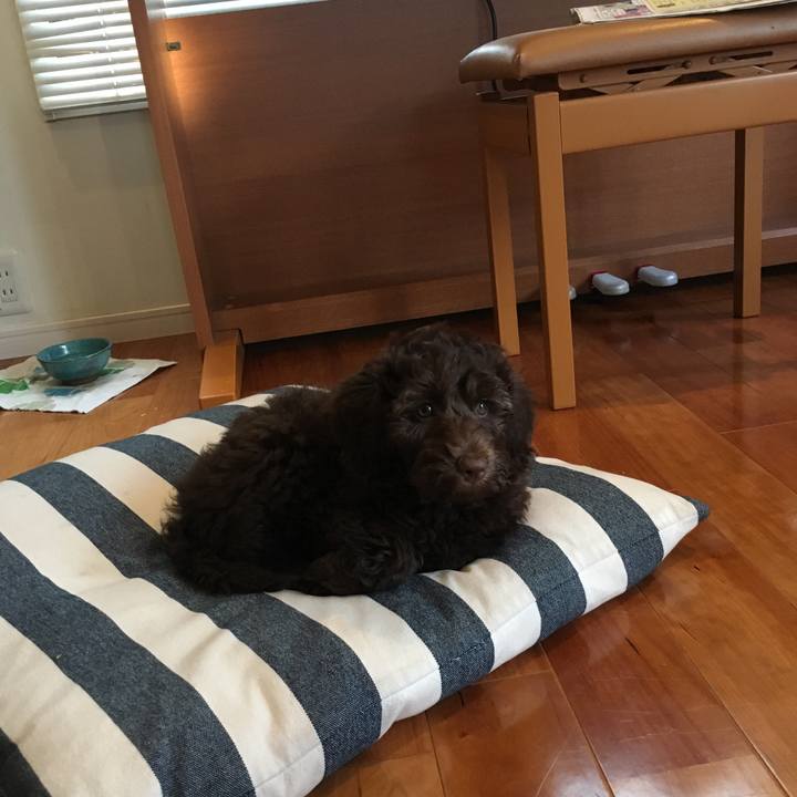 1e61fc3b 0a85 4aa7 838e 41e5ff4a4f90 1539985730111