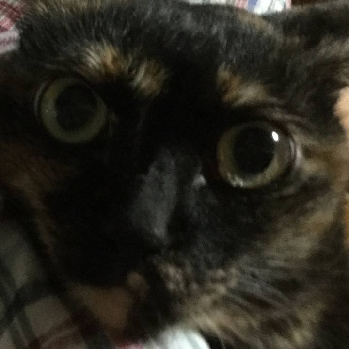 1e62101f b758 45ad 9de1 7e2be02cba85 1596369138262