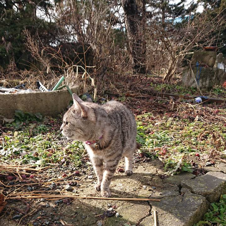 1e621039 3142 484f be14 f3d71030390d 1578797954243