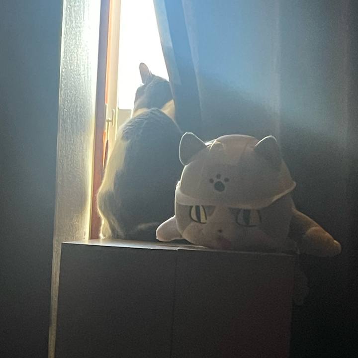 1e625abc ff34 4510 9fd1 ed899ad030ca 1678140014072