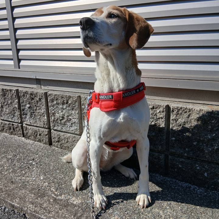 1e6262c3 80a7 43b9 8484 6402c71dc99b 1773461523971