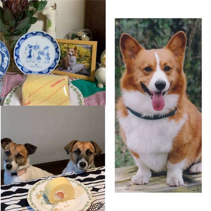 1e629fe0 fed7 4121 bd89 a4163f8f2ea1 1574428684197