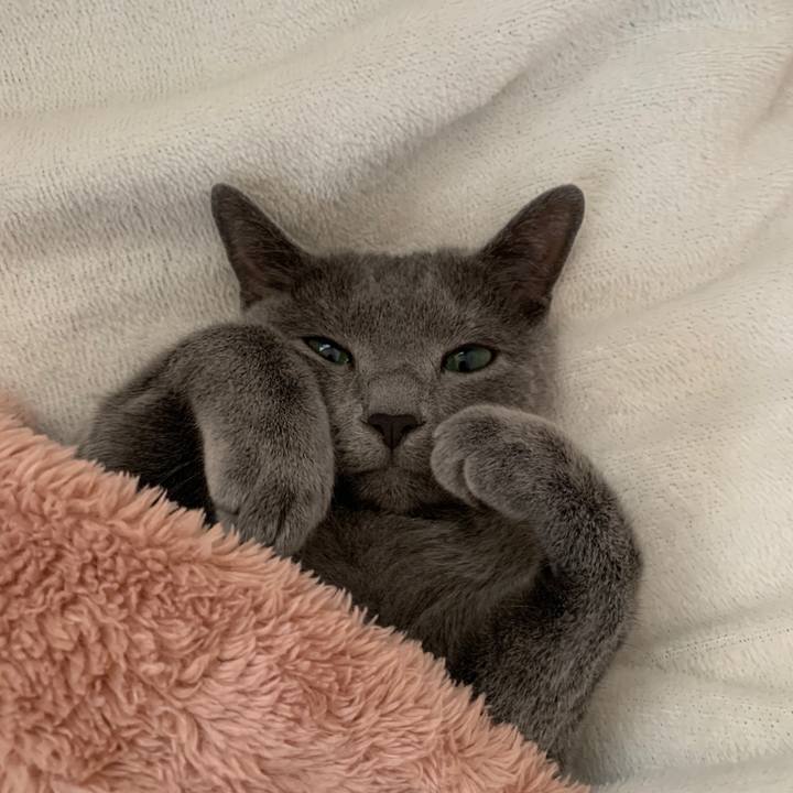 1e631424 be19 4aac afbd a4315a3bcda3 1582788461140