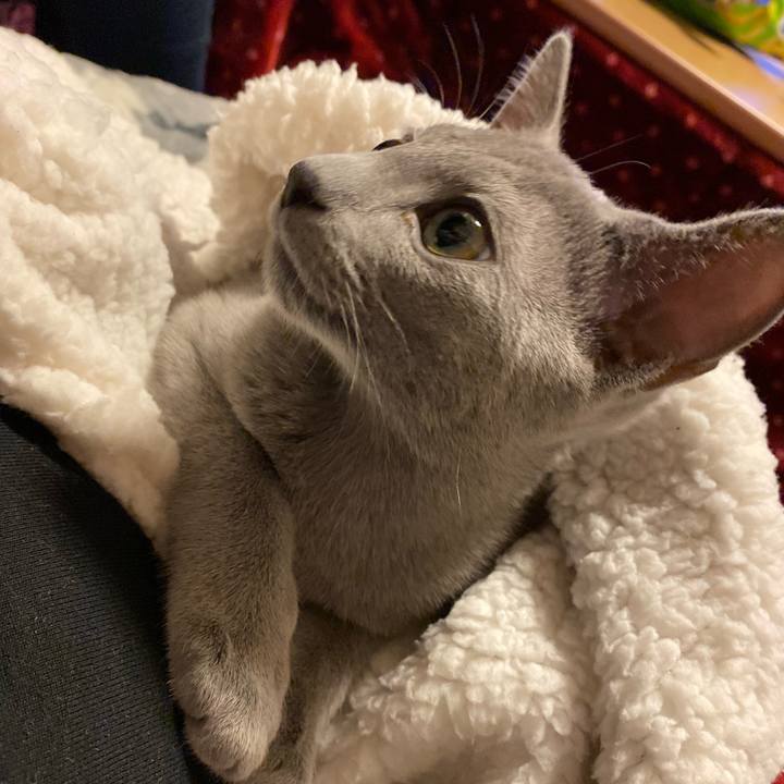 1e6374ba 4bde 4efb 8520 10a4c30372b5 1607349057910