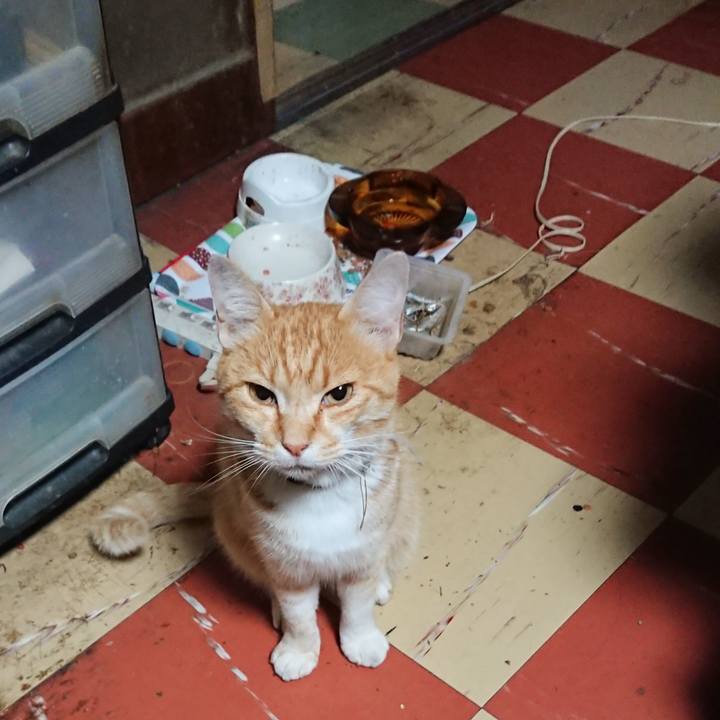 1e63768b 7f5a 4d1a a64b f9c3cb3203f3 1592248970458