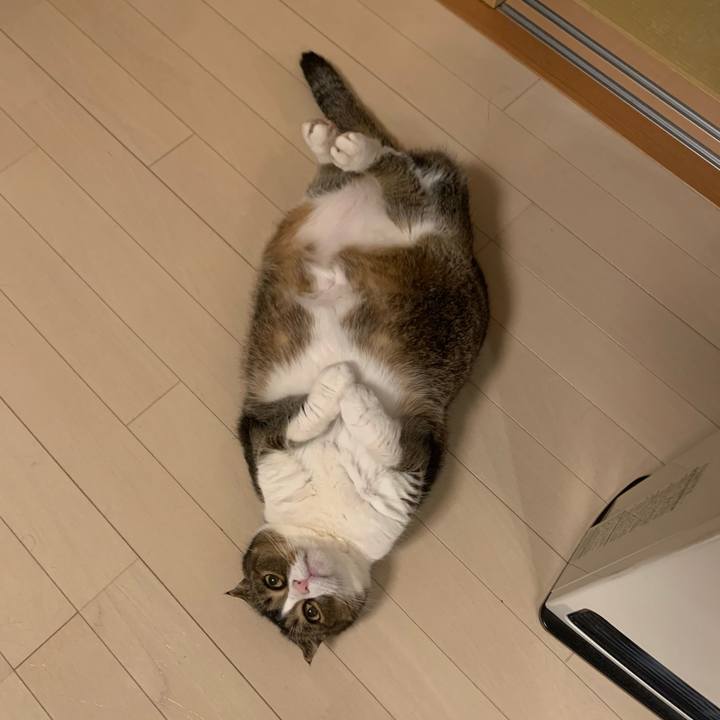 1e6385a7 ce10 4995 a7ab 4c8f706cd891 1617013968018