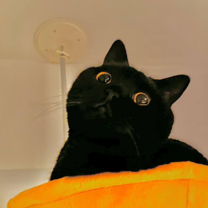 1e63d315 28b6 4c1e a2c2 6788be3d0a61 1639430356359