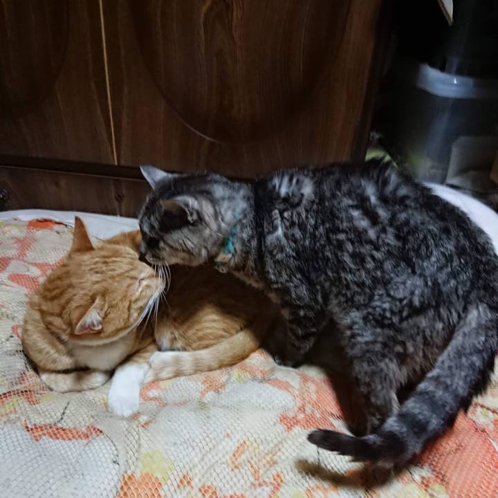 1e63fae4 92c4 4986 bbca 931032a081aa 1604318256954