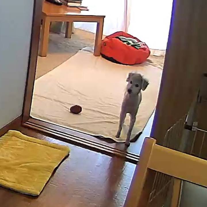 1e63fceb 1eef 4e1e b974 b7c957f11493 1588206156806