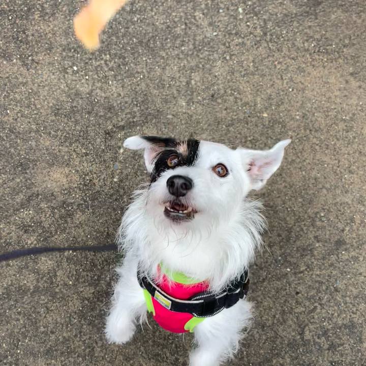 1e63ffbd 2100 4f53 812a c27a1bb5ec11 1685408265921