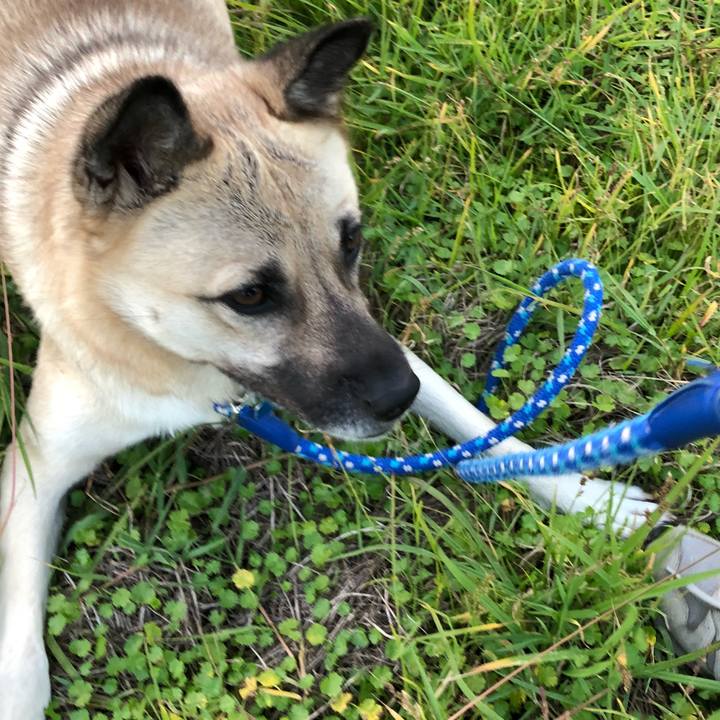 1e6429f7 5703 4dbc b00f 879f043e1f7d 1540385911110