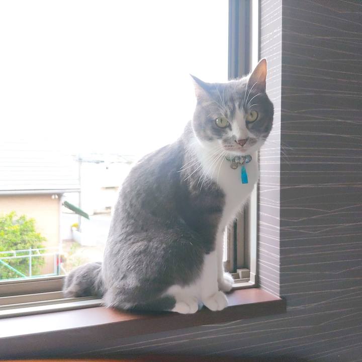 1e645d91 71f0 47c6 8120 0f25281e05a6 1684567026505