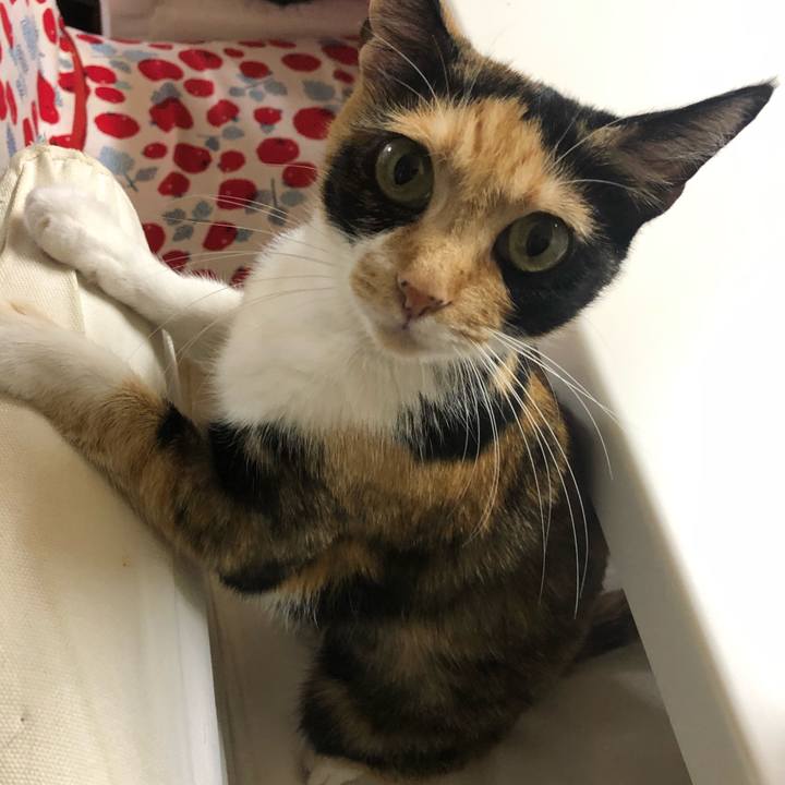 1e645f80 c24e 449d b459 567c6e667d79 1603116436820