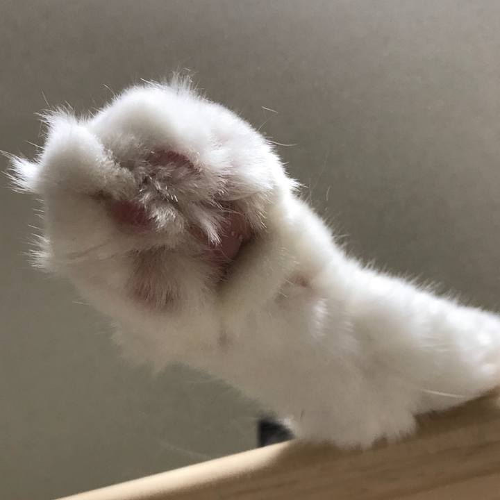 1e649464 7a6c 4941 8e96 273750be8db6 1531057417821