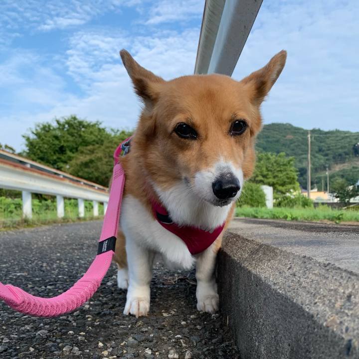 1e649dcd 7b14 4441 a82d f657e6e452fd 1689629731024