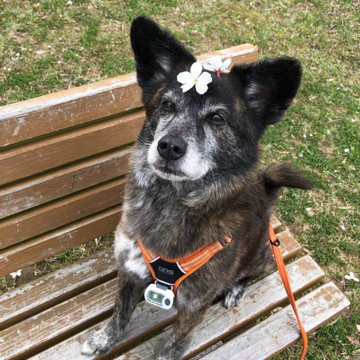 1e64b344 4ac3 465a 9588 477574e586b6 1680612544026