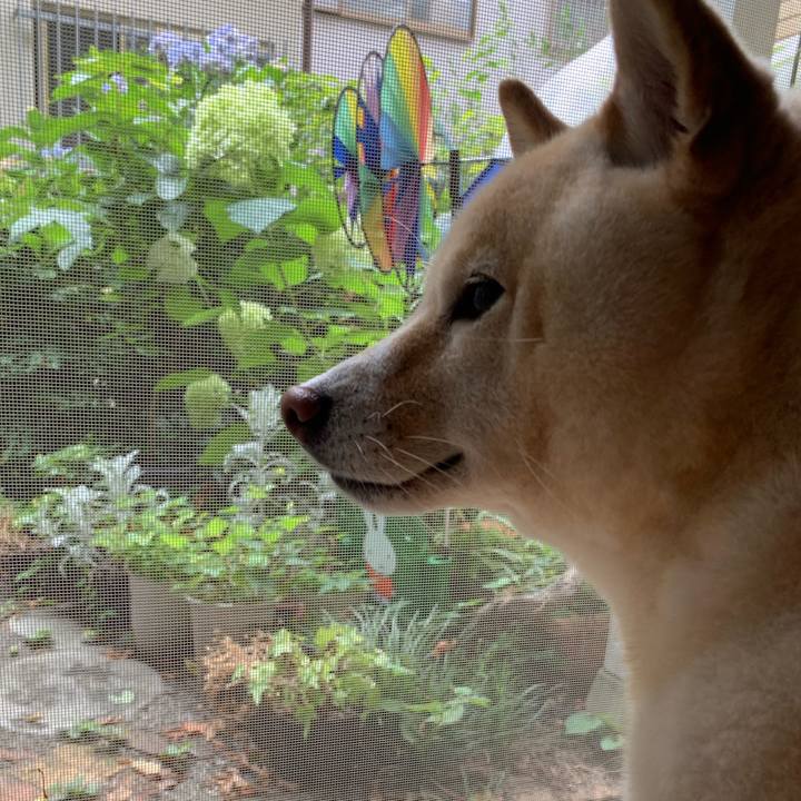 1e65322b 05a5 496f aa51 cbaceb2a699f 1657063712346