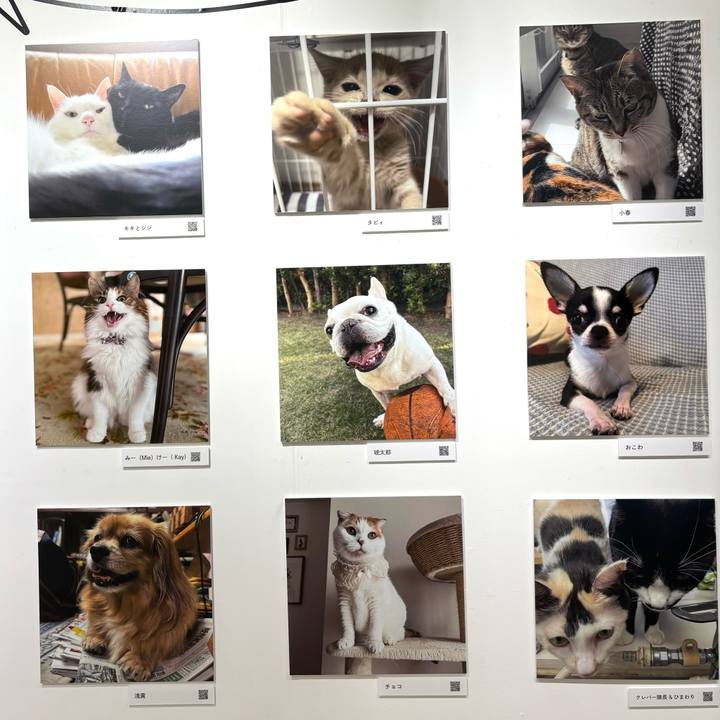 1e6553a6 7a06 47b4 9e86 07c8583c5782 1762079435119