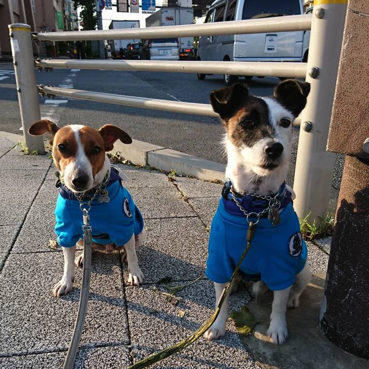 1e658a8b 6eb3 4683 b613 88957ec58633 1568065750734