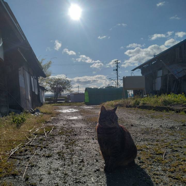 1e659224 3bdb 4c4e 83a8 9b5cd781785a 1682978289069