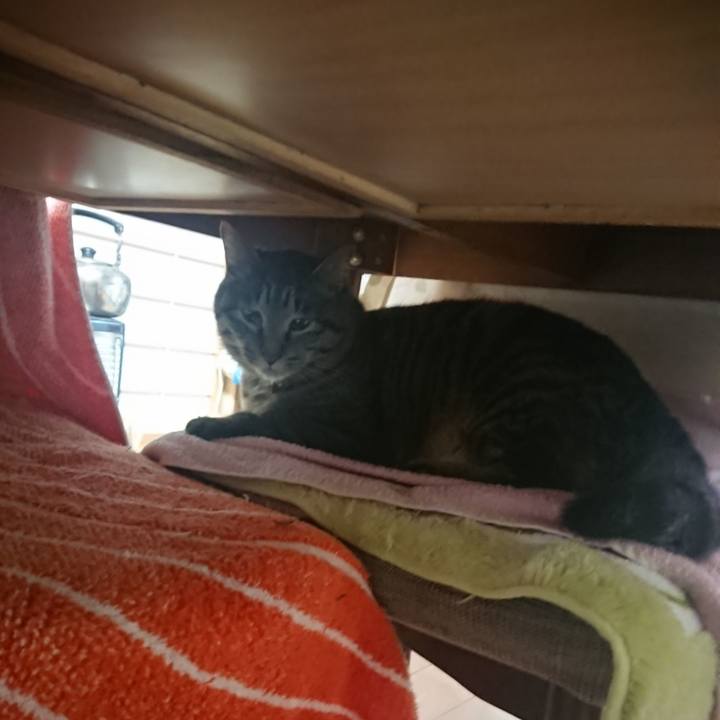 1e65cefa 10f8 4bfc a5bb 71f5aff3795a 1649971082457