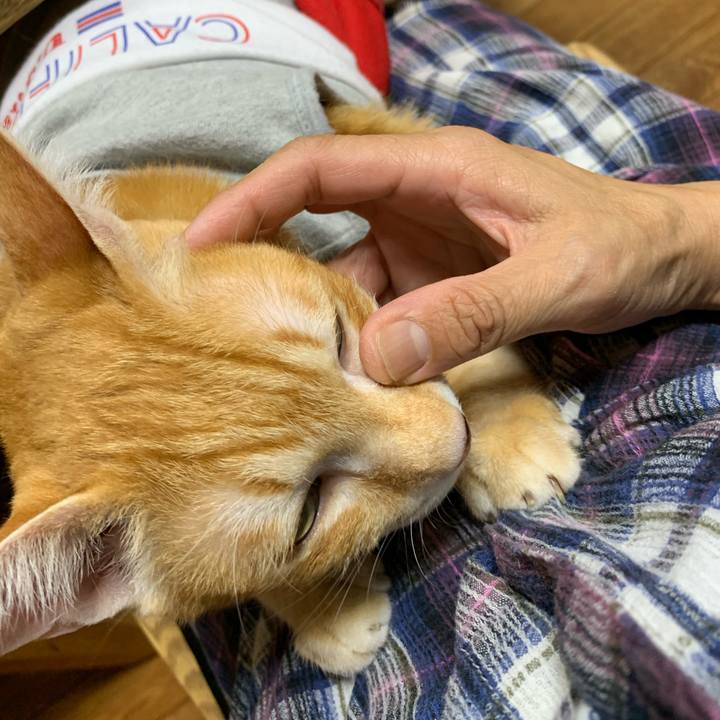 1e65dce1 6c4e 4679 b2f9 0b24e9d0d768 1601383610337